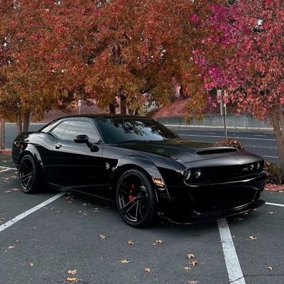 @1laflare1017