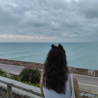 Emilia Torres (@_torresemili) 's Twitter Profile