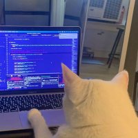Edison (@codeedison) 's Twitter Profile