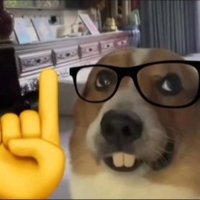 Tomás? (@tomyx16x) 's Twitter Profile