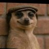 itsAbduu4's profile picture. Student of ICT