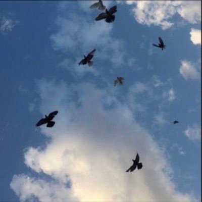 ⠀⠀⠀⠀ ﴿ وَلَسَوْفَ يُعْطِيكَ رَبُّكَ فَتَرْضَىٰ ﴾ ⠀⠀⠀⠀⠀ ⠀⠀⠀⠀⠀ ⠀⠀ ⠀ ⠀⠀ ⠀ ⠀ ⠀ ⠀ ⠀⠀⠀⠀⠀ Always belive in your self ⠀⠀⠀⠀⠀ ⠀⠀⠀⠀⠀ ⠀⠀ ⠀ ⠀⠀⠀⠀⠀ ⠀⠀ ⠀ ⠀⠀ ⠀ ⠀⠀⠀⠀ ⠀⠀⠀⠀⠀ ⠀⠀ ⠀