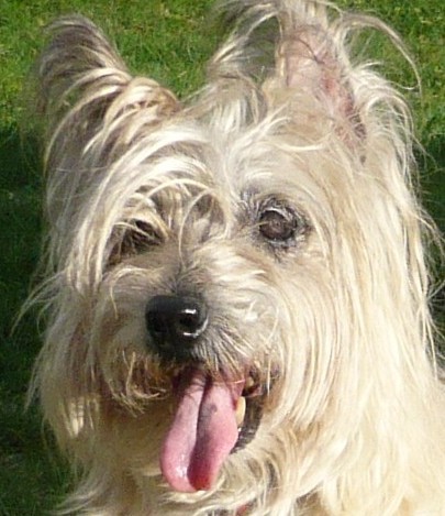 FreebieFun's profile picture. Sharing the BEST freebie finds with you!