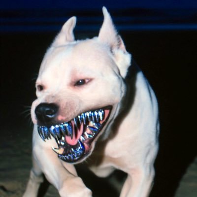 sovajri_'s profile picture. 𐌃o𐌍’𐌕 𐌔𐌄𐌄 🙈 𐌃o𐌍’𐌕 𐌔𐌐𐌄𐌀𐌊 🙊 𐌃o𐌍’𐌕 𐌋𐌉𐌔𐌕𐌄𐌍 🙉