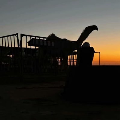 d_jb_1's profile picture. على الله تعالى كل الاحوال متروكه ..