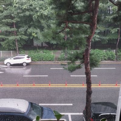 Mysteryarche's profile picture. 이재명 극혐 합니다. 친중 매국노 세력 극혐합니다. 깡패 새끼들도 극혐합니다.  
 새미래 지지합니다. 선하고 정직하고 아름다운 사람들의 세상을 희망합니다. 건강하세요~