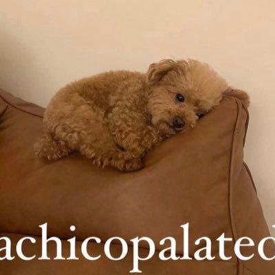 lizzbom's profile picture. si estás aquí es porque te ardió algo de mi humilde opinión 100% correcta 😮‍💨