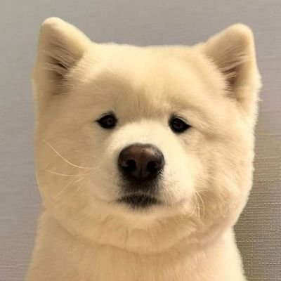 MuNa_arichain's profile picture. #coinshiller #cryptoexplorer #cryptoinvestor