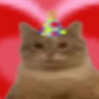 lentil corelli (@lentilcorelli) 's Twitter Profile