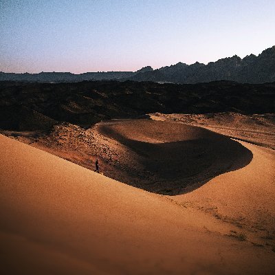 goolimit's profile picture. ..