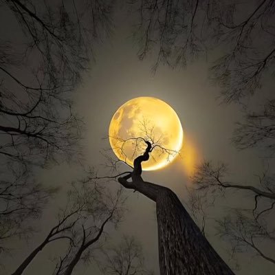 Dreamer6060 Profile Picture