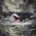 Beto Navarro (@betonav21899816) Twitter profile photo Beto Navarro (@betonav21899816) Twitter profile photo