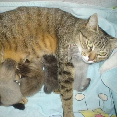 Peter107016's profile picture. 