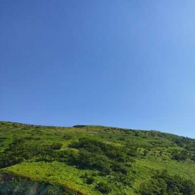 VYHxMeRncj87930's profile picture. ギャンブル依存症/中小企業診断士試験受験生/スタディング