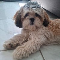 Francisca Esparza Domínguez (@franciscaespar9) 's Twitter Profile