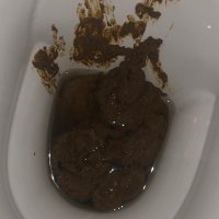 PROOF of SHIT 💩 PoS (@proofofshitpos) 's Twitter Profile