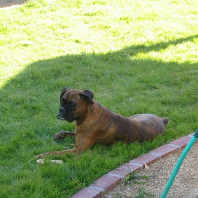 jmilkey's profile picture. Engineer, Professional Singer, Musician, Producer, Inventor and a fun guy to party with!!!!