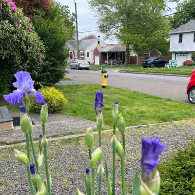 CAB79057's profile picture. 