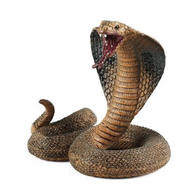 tsuchinoko9696's profile picture. 大阪在住🍻 長身です😎