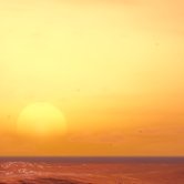 rabo_664 Profile Picture