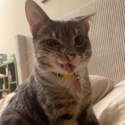Hi :D
I’m 16
I play gd I think, Hardest: Killbot
#1 killbot glazer
Any/All?
🏳️🌈
Priv: @HeksBalls42
That’s really it