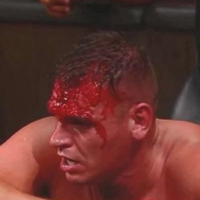 PRO WRESTLING FAN
