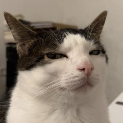 billanee's profile picture. 