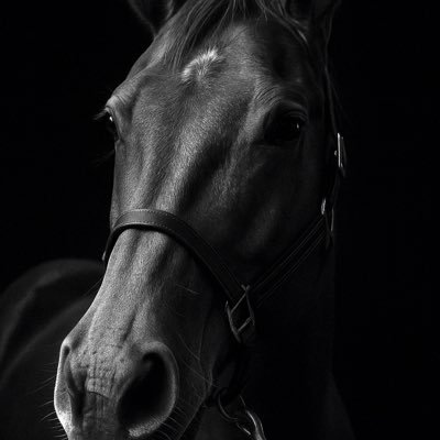 HarterH96037's profile picture. 