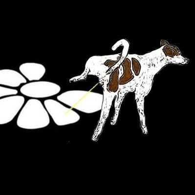 La izquierda sinónimo de mentira,pobreza,robo,corrupción,odio, resentimiento y envidia.
Todo lo que toca,destruye. #NOHAYNADIEMÁSFASCISTAQUEUNZURDITO
