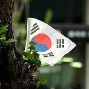 ROK Solid (@rok_frontline) 's Twitter Profile Photo ROK Solid (@rok_frontline) 's Twitter Profile Photo