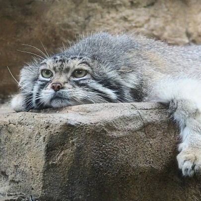 Estebares's profile picture. 