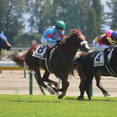 IKARLGA's profile picture. 最強馬グラスワンダー、モーリスの子孫を応援する競馬現地観戦勢。
