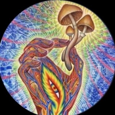 MD & MYCOLOGIST, HOLISTIC MEDS STORE 🏪. DELIVERY GUARANTEED