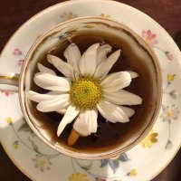 🌺 (@natakembang) 's Twitter Profile