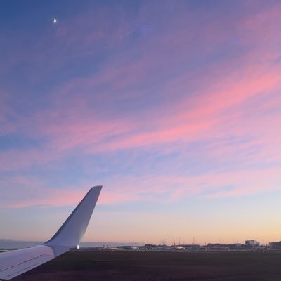 irislol__'s profile picture. 18+ // lurker