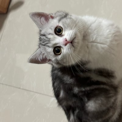 Joncodards's profile picture. 世界は、自分がどこに向かっているのかを言葉と行動で示す人々のために、必ずその空間を作ってくれます。