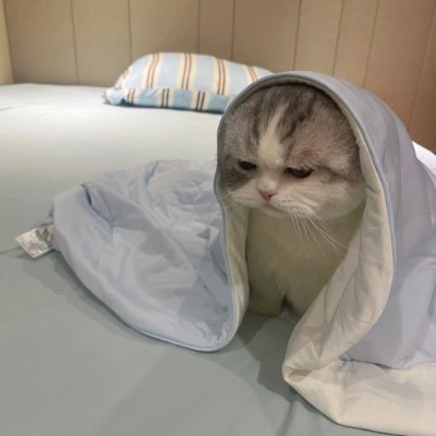 Ezecunderss's profile picture. ちょっとだけ暴れたくなる時があるんだ、いいでしょ？それが少し未熟かもしれないけど、仕方ないんだよね。