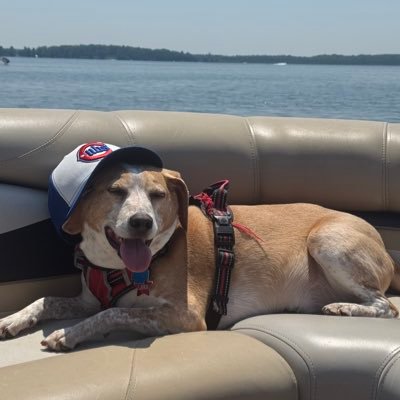 JohnStarkey95's profile picture. Chicago ✶ ✶ ✶ ✶ & Romania 🇷🇴