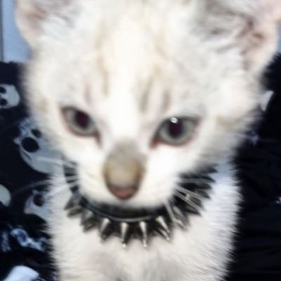 Ethel666xd's profile picture. trastornado gay, extraño el psiquiátrico