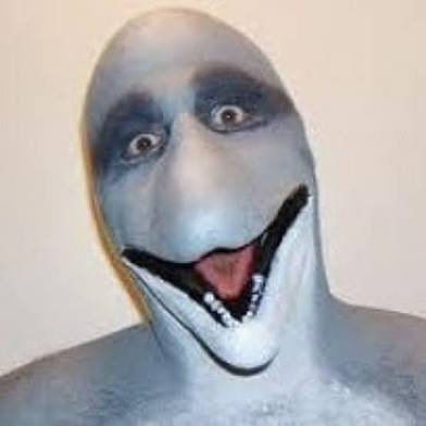 Dolphinguy