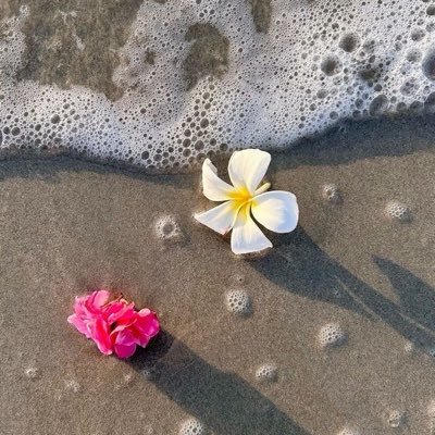 JBugshan26435's profile picture. أؤمن إن كل يوم بداية جديده .