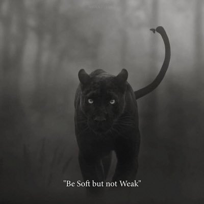 gurmanp15461294's profile picture. 