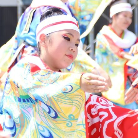 娘と寶船さんを応援しています😀😀💕 阿波おどり・よさこい・うらじゃ・娘の踊りが大好きです💕
2025風舞輝