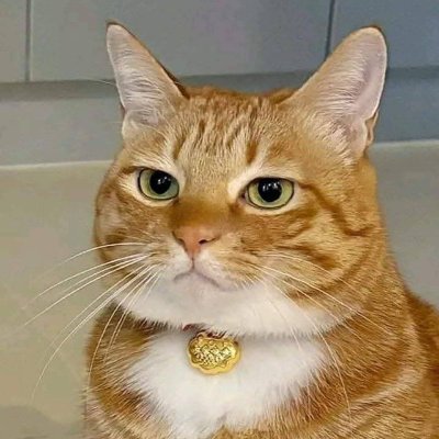 lorddoel11's profile picture. 