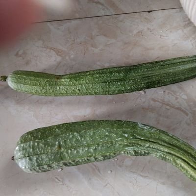 237680gmailcom's profile picture. 哈哈