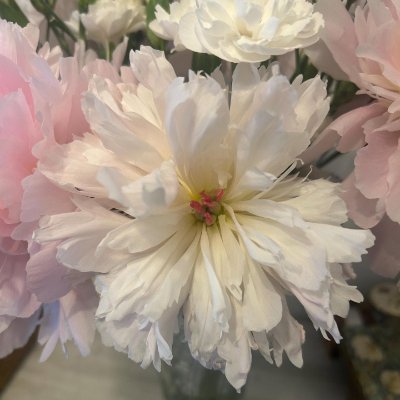 mizuiro_megumi's profile picture. 丁寧に暮らすのが好き。写真を撮ったり料理したり📸🍳
旅と、猫と音楽、がやさしく小さな幸せ🐾🎶