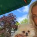 Latisha Guccione🌸 (@dannellyel99850) Twitter profile photo Latisha Guccione🌸 (@dannellyel99850) Twitter profile photo