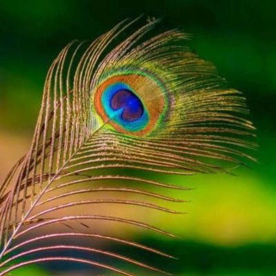 jui3310's profile picture. I'm not your second option either you choose me or loose me 🙃