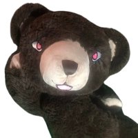 Mad Plushientist (@lustyforplushy) 's Twitter Profile Photo Mad Plushientist (@lustyforplushy) 's Twitter Profile Photo