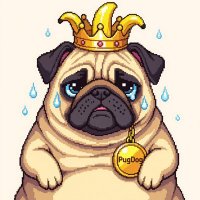 Afi khan (@altu111) 's Twitter Profile Photo